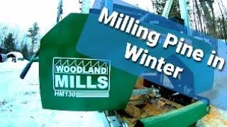 Milling Pine Log Cants  Woodland Mills HM130 Bandsaw Mill  Sawmill Pine Lumber [upl. by Scibert]