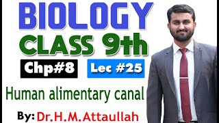 Human alimentary canal  Chapter 8  9th class Biology  Lec 25 [upl. by Hametaf]