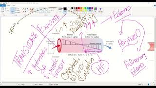 Heart Failure Pathophysiology capillary fluid exchange Usmle step 1 [upl. by Thaddeus]