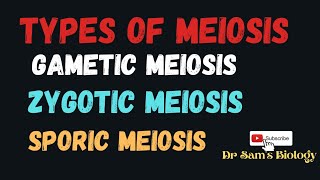 Types of Meiosis Gametic Zygotic Sporic [upl. by Llehcor]