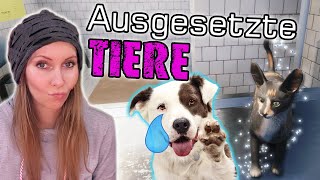 TIERE selbst ADOPTIEREN 🐈‍⬛ NEU im Tierheim Simulator 🐶 Animal Shelter Simulator deutsch 🏠 Folge 14 [upl. by Elimaj511]