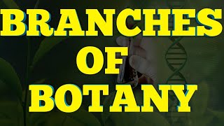 Branches of Botany With brief detail Branches of Biology  NCERT 11 Biology [upl. by Aileda654]