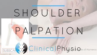 Shoulder Palpation  Clinical Physio Premium [upl. by Virgilia]