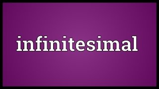 Infinitesimal Meaning [upl. by Faunia]