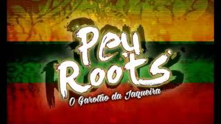 RAGGA DO BANDOLEIRO 2017 DJ PEU ROOTS [upl. by Zeba878]