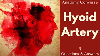 Hyoid Artery Anatomy A Comprehensive QampA for Medical and Anatomy Students [upl. by Hidie41]