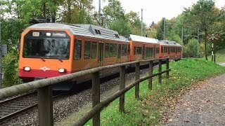 Uetlibergbahn Zürich  Tagtäglich unterwegs  Zug trainfart trains [upl. by Bethesde]