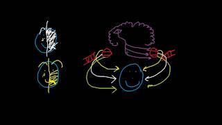 Bells Palsy vs Upper Motor Neuron Lesion [upl. by Derrej]