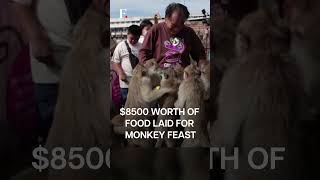 Monkeys Feast on 8500 Worth of Food in Thailand  Subscribe to Firstpost [upl. by Clarice]