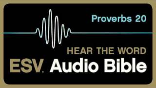 ESV Audio Bible Proverbs Chapter 20 [upl. by Janette]