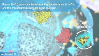 Prion disease animation clip [upl. by Enej490]