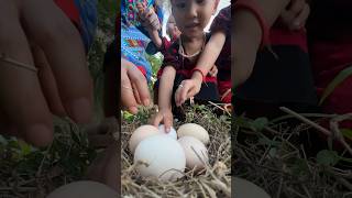 Single mom with boil chicken eggs skills camping singlemom outdoors bushcraft skills [upl. by Eal]