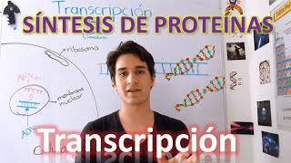 Transcripción Síntesis de proteínas nivel elevado EN 7 MINUTOS [upl. by Fenny243]