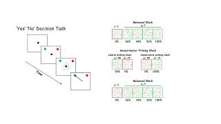 DecisionMaking in the Superior Colliculus [upl. by Pickering]