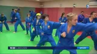 Présentation du Vovinam Viet Vo Dao en Limousin  club de CondatsurVienne [upl. by Nevram798]