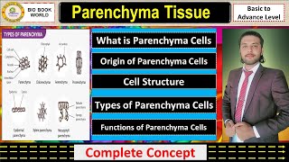 Parenchyma Tissue  Types of Parenchyma  Simple Permanent Tissue  Complete Detail [upl. by Ikeda]