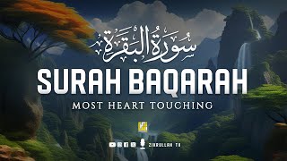 Surah Al Baqarah Full سورة البقره  Relaxing heart touching voice  Zikrullah TV [upl. by Arutek]