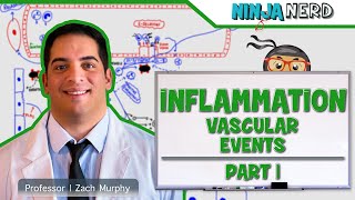 Immunology  Inflammation Vascular Events Part 1 [upl. by Juanne]