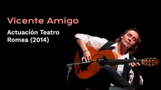 Concierto Vicente Amigo en Teatro Romea de Murcia 2014 [upl. by Mcgrody]