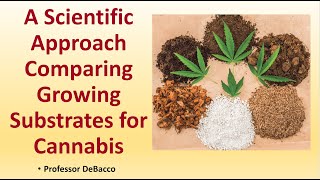 A Scientific Approach Comparing Growing Substrates for Cannabis [upl. by Erinna]