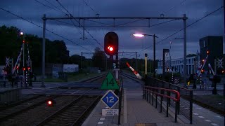 Spoorwegovergang DriebergenZeist  Dutch railroad crossing [upl. by Gally612]