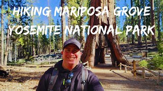 HIKING MARIPOSA GROVE YOSEMITE NATIONAL PARK [upl. by Ylagam]