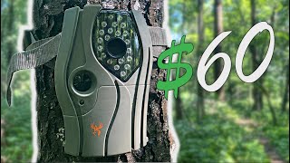 BRAND NEW Wildgame Switch Trail Camera Full Review and Rundown [upl. by Ayel]