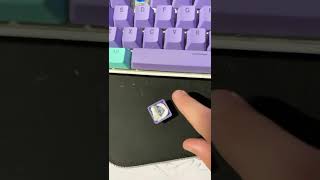 How to make a blue switches keyboard sound thocky for FREE [upl. by Novia279]