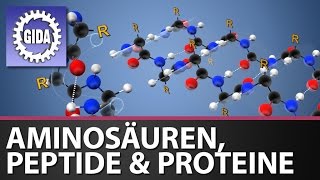 Trailer  Aminosäuren Peptide und Proteine  Chemie  Schulfilm [upl. by Eiramik]