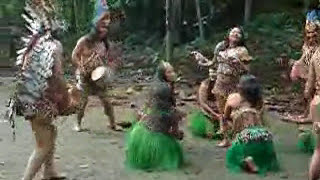 Danza Indigena en el Amazonas [upl. by Wein]