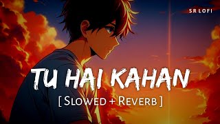 Tu Hai Kahan  Aur Slowed  Reverb  Usama Ali Ahad Khan  Raffey Anwar  SR Lofi [upl. by Malachy]