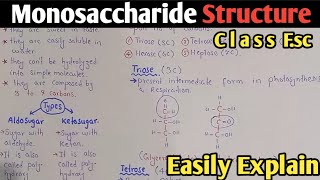 Peroxisome  Glyoxysome  Structure  Class 11 Biology [upl. by Kuebbing]