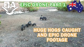 PIG HUNTING AUS WILD BOAR  PART 1 EPIC DRONE pig hunting and shooting wild hogs 44 mag [upl. by Attenaz]