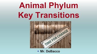 Animal Phylum Key Transitions [upl. by Brodeur]