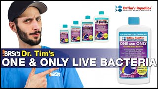 Dr Tims One amp Only and Fishless Cycle Bundle Cycle your aquarium quicker by giving it a boost [upl. by Naol]