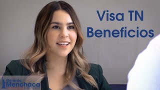 Visa TN Beneficios USA 2020 [upl. by Nashom]