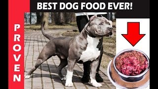 Best Dog Food Ever To Feed your Puppy CREATE BIG DOGS [upl. by Delano]