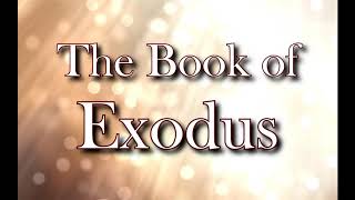 The Book of Exodus NIV Dramatized Audio Bible [upl. by Theodora]