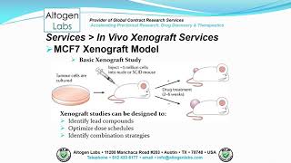 Altogen Labs MCF7 Xenograft Service Breast Cancer [upl. by Ruenhs]