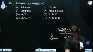 Fallopian tube consists of Aampnbsp Isthmusampnbspampnbspampnbspampnbspampnbspampnbspampnbspampnbspampnbs [upl. by Birck]