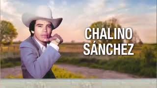 El pavido navido chalino sánchez karaoke con la banda flor del Campo arriba los guamuchileños [upl. by Stock541]