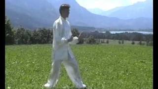 24er Tai Chi Form des YangStils PekingForm  Tai Ji Quan 24 Yang Stil Beijing Form [upl. by Kolnick]