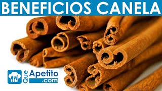 8 Propiedades y Beneficios de la Canela  QueApetito [upl. by Giguere38]