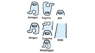 The Different Types Of Amogus [upl. by Eanrahc961]