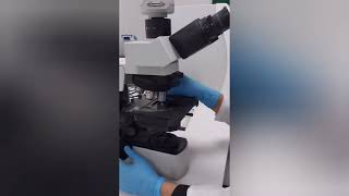 Urinanalysis Part 2 Learn urine microscopy in 5 minuteslaboratory mltclasses [upl. by Calle]