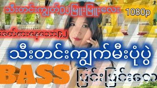 သီးတင်းကျွက္မီးပုံပွဲ2024MYANMARDJ MIX BASSမီးပုံပွဲမြူးမြူးလေး [upl. by Vasiliki]