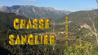 CHASSE AUX SANGLIERS Il arrive il fait du bruit [upl. by Saalocin]