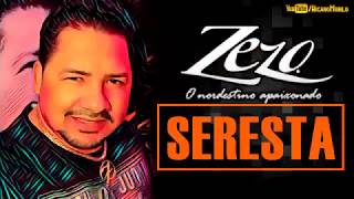 Zezo 2018 o melhor da Seresta [upl. by Shrier99]