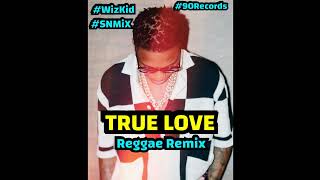 WizKid ft Tay Iwar amp Projexx  True Love Reggae Remix SNMiX BPM 90 [upl. by Rafiq392]