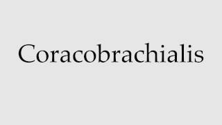 How to Pronounce Coracobrachialis [upl. by Notffilc]